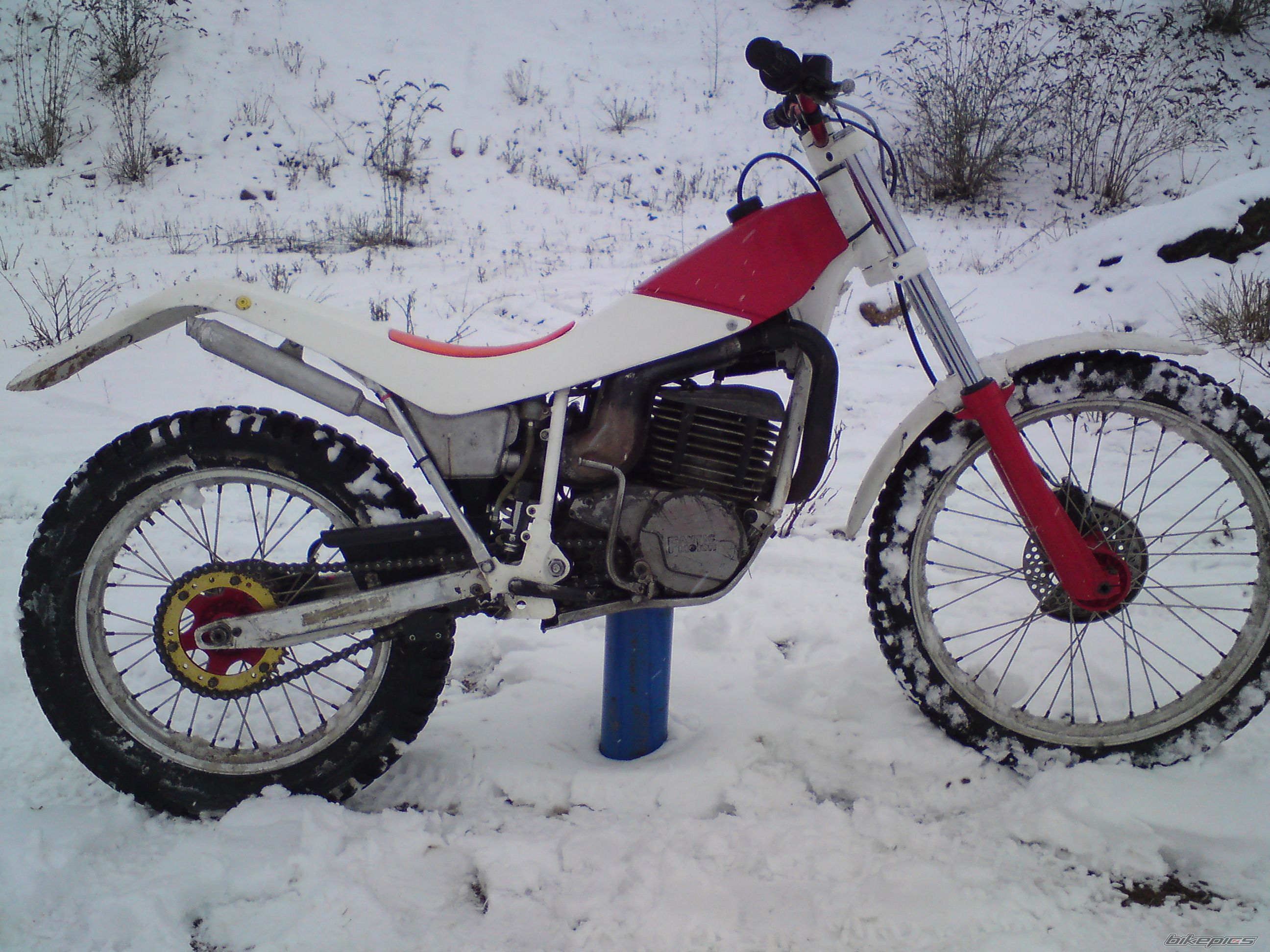 Photo 2389889