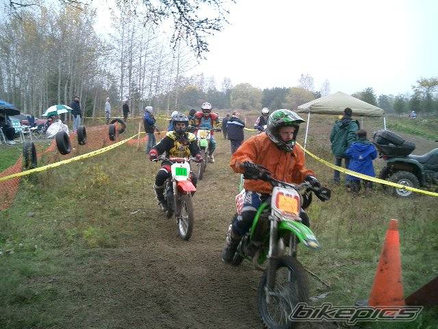 Photo 238989