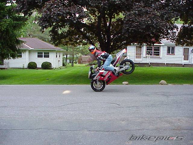 Photo 2390