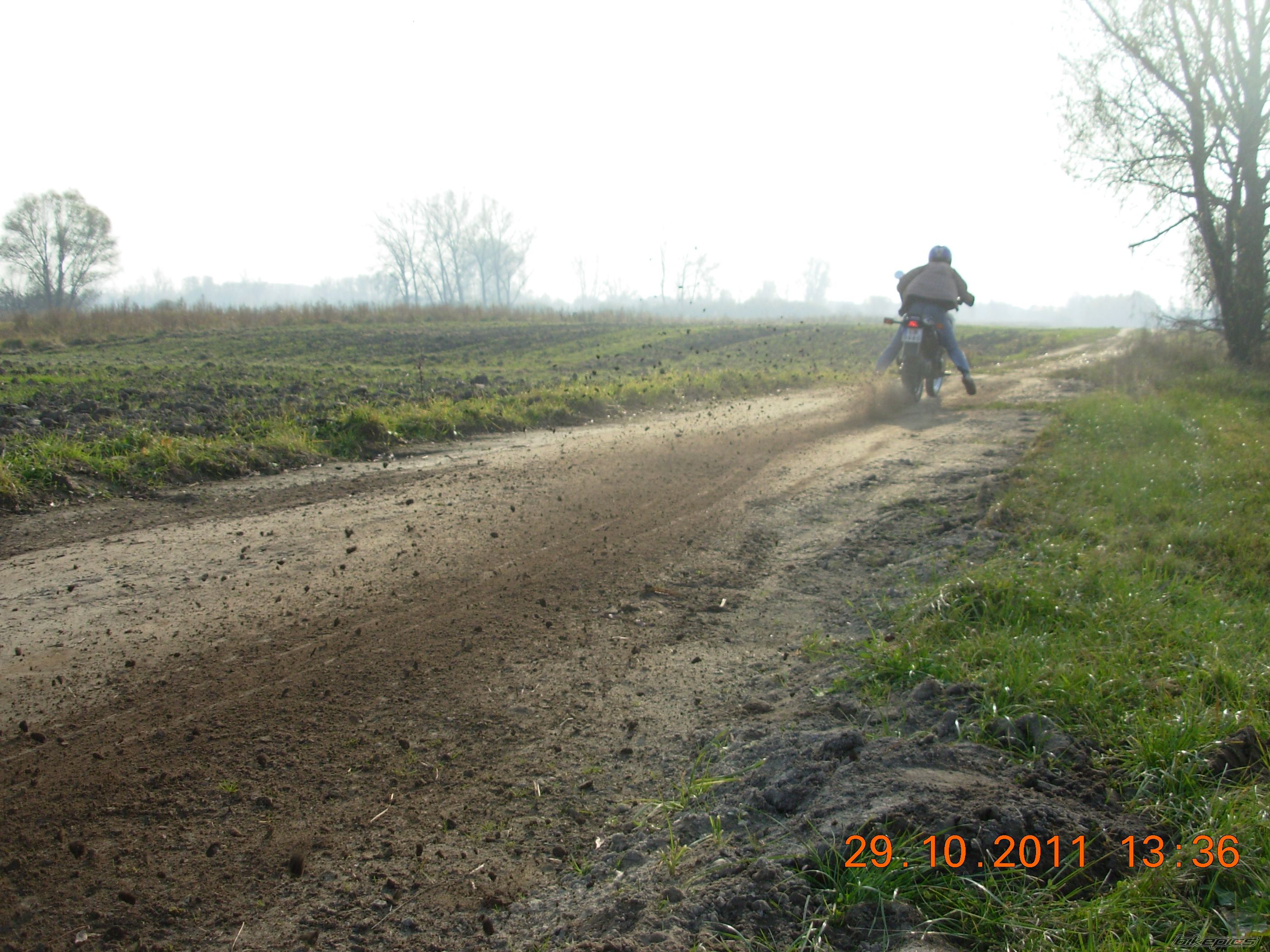Photo 2390079