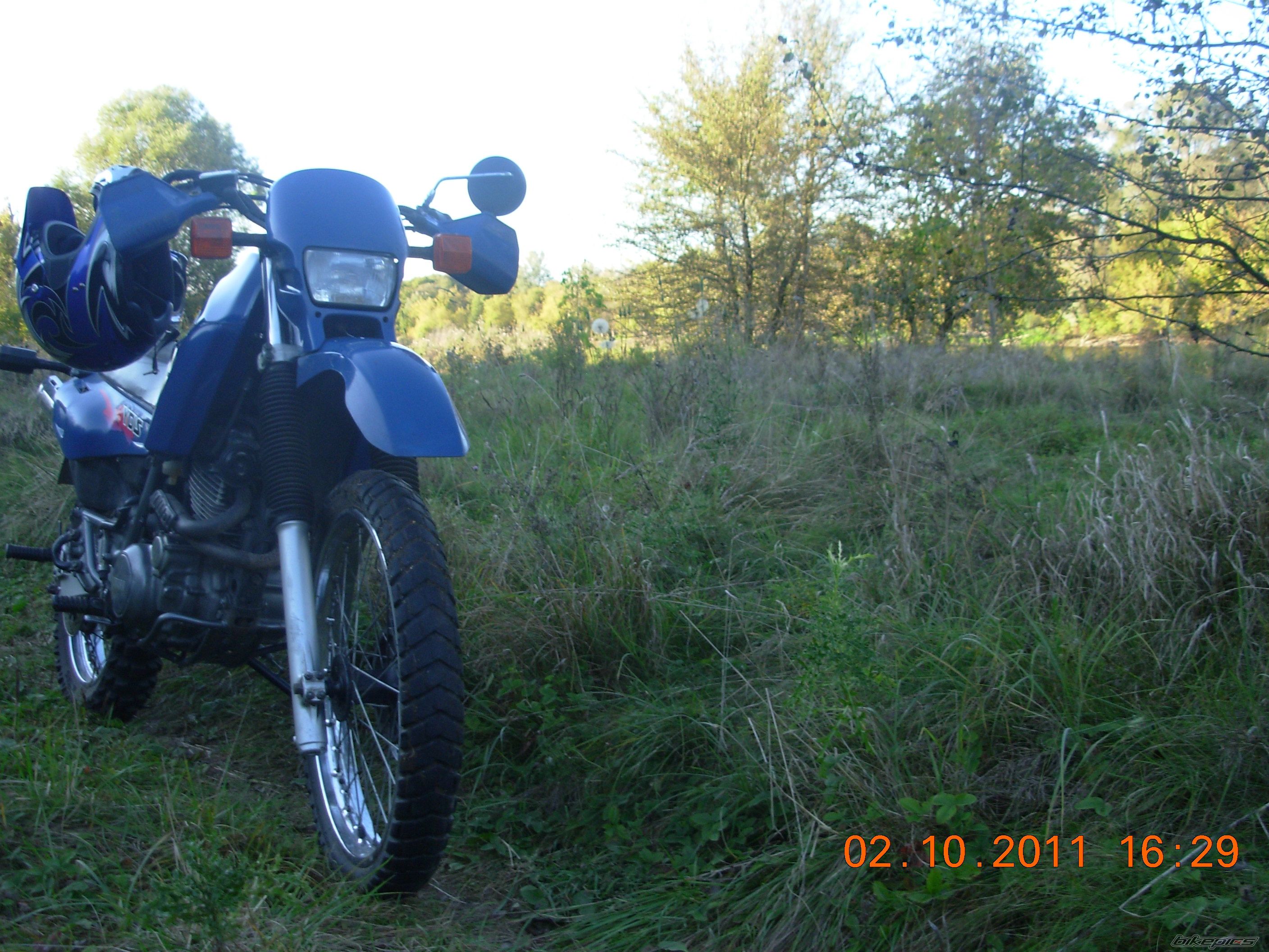 Photo 2390084