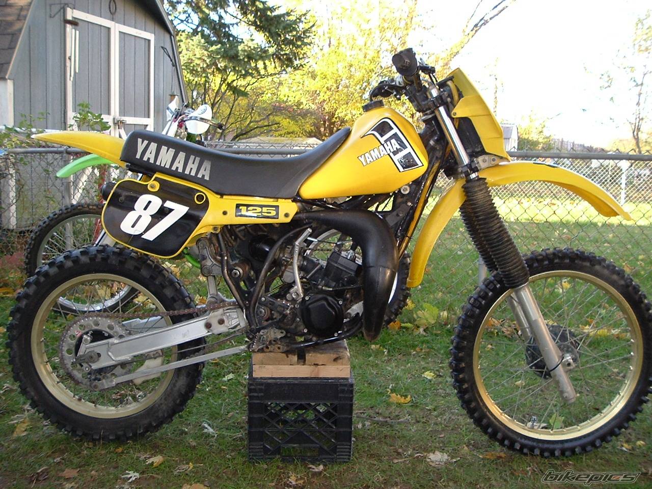 Bike Photo 239020