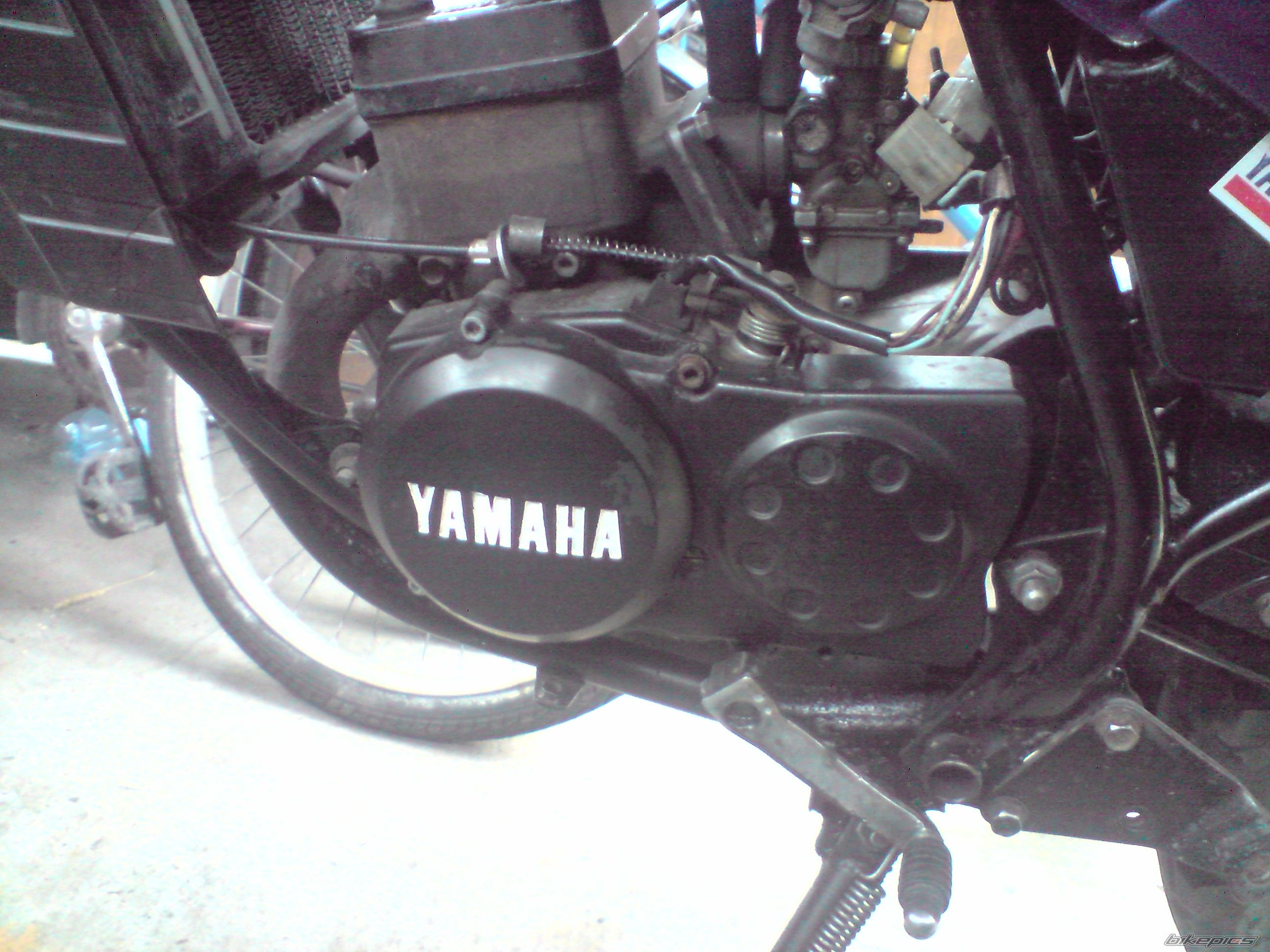 Photo 2390202