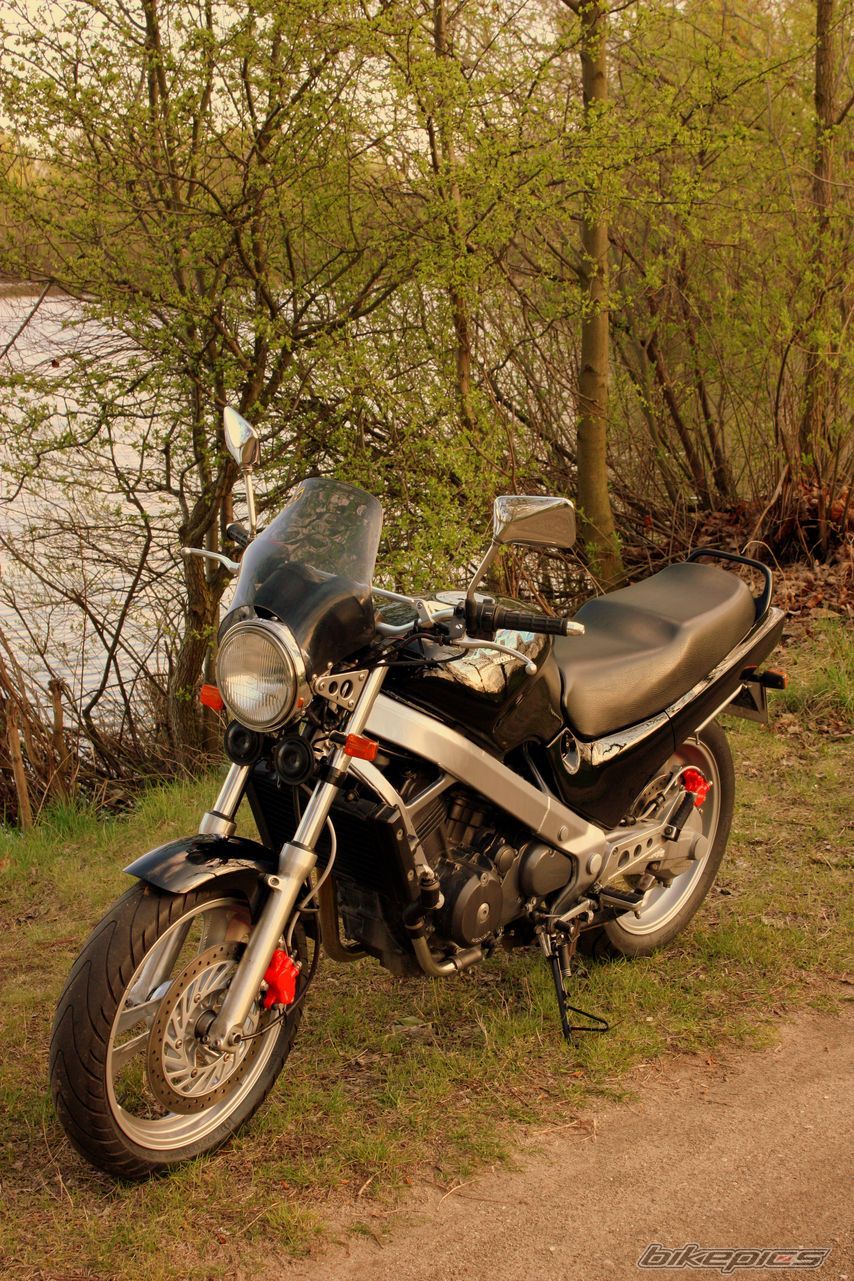 Photo 2390227