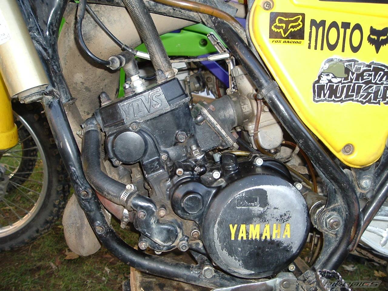 Bike Photo 239023