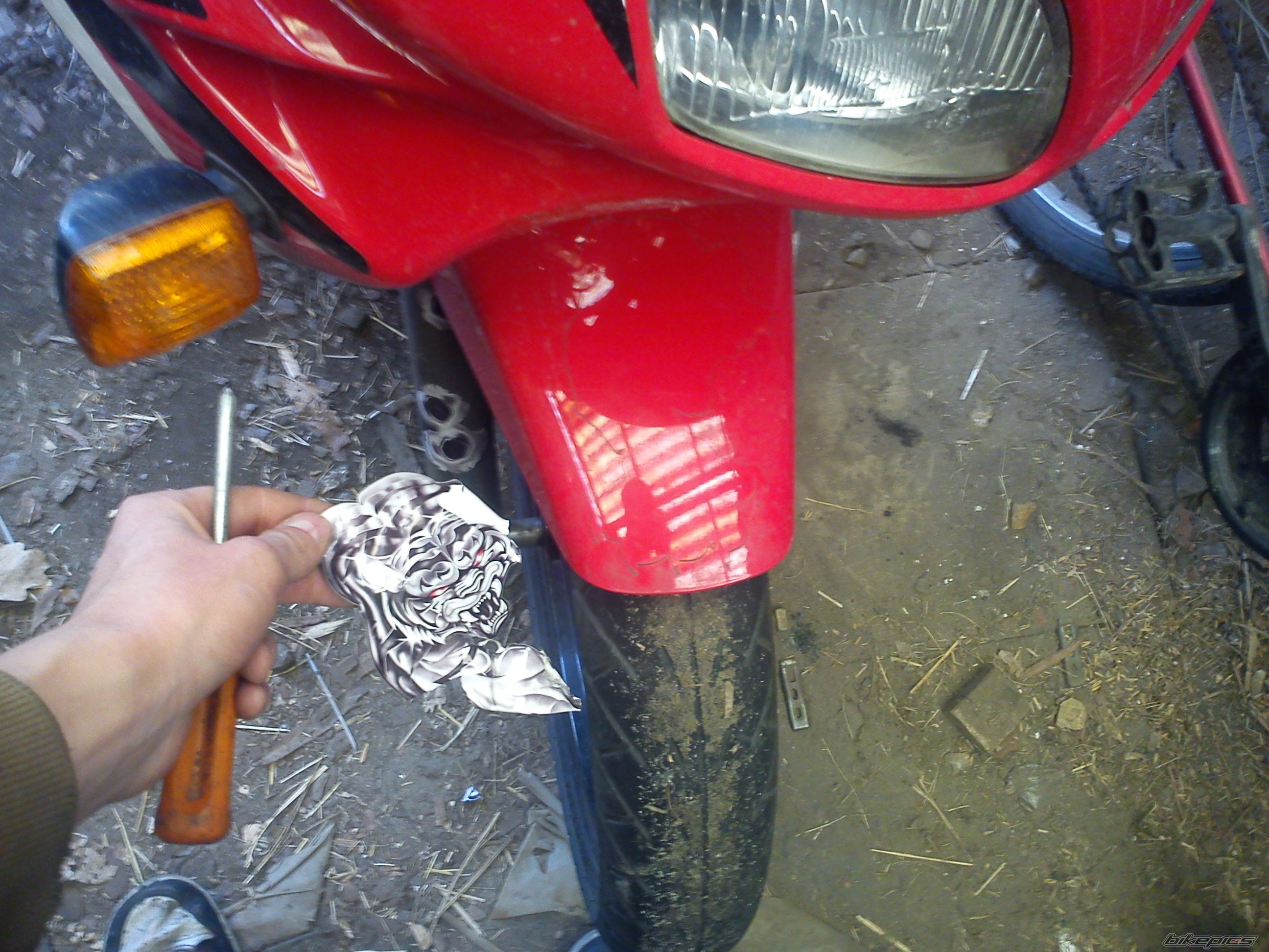 Photo 2390239
