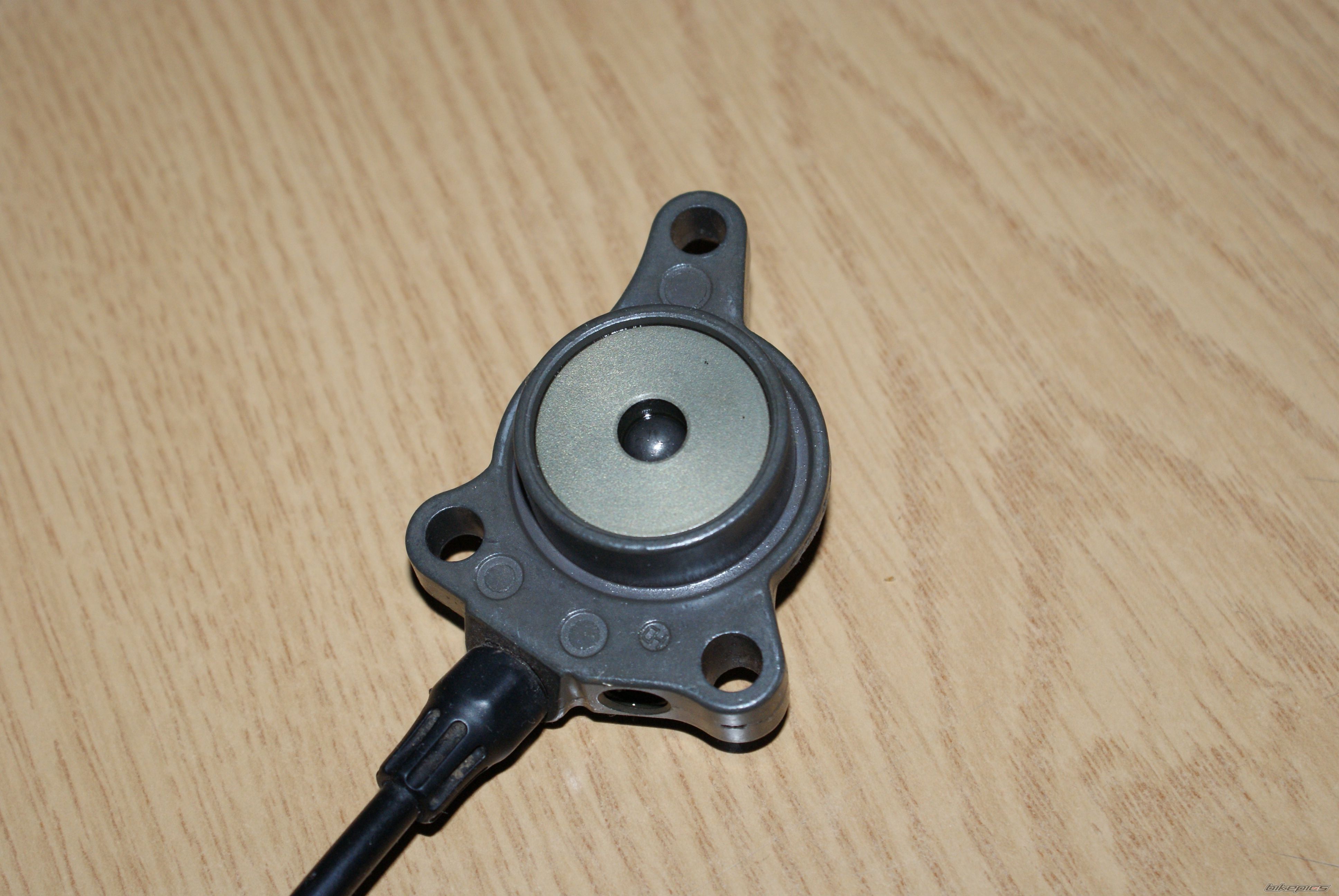 Photo 2390259