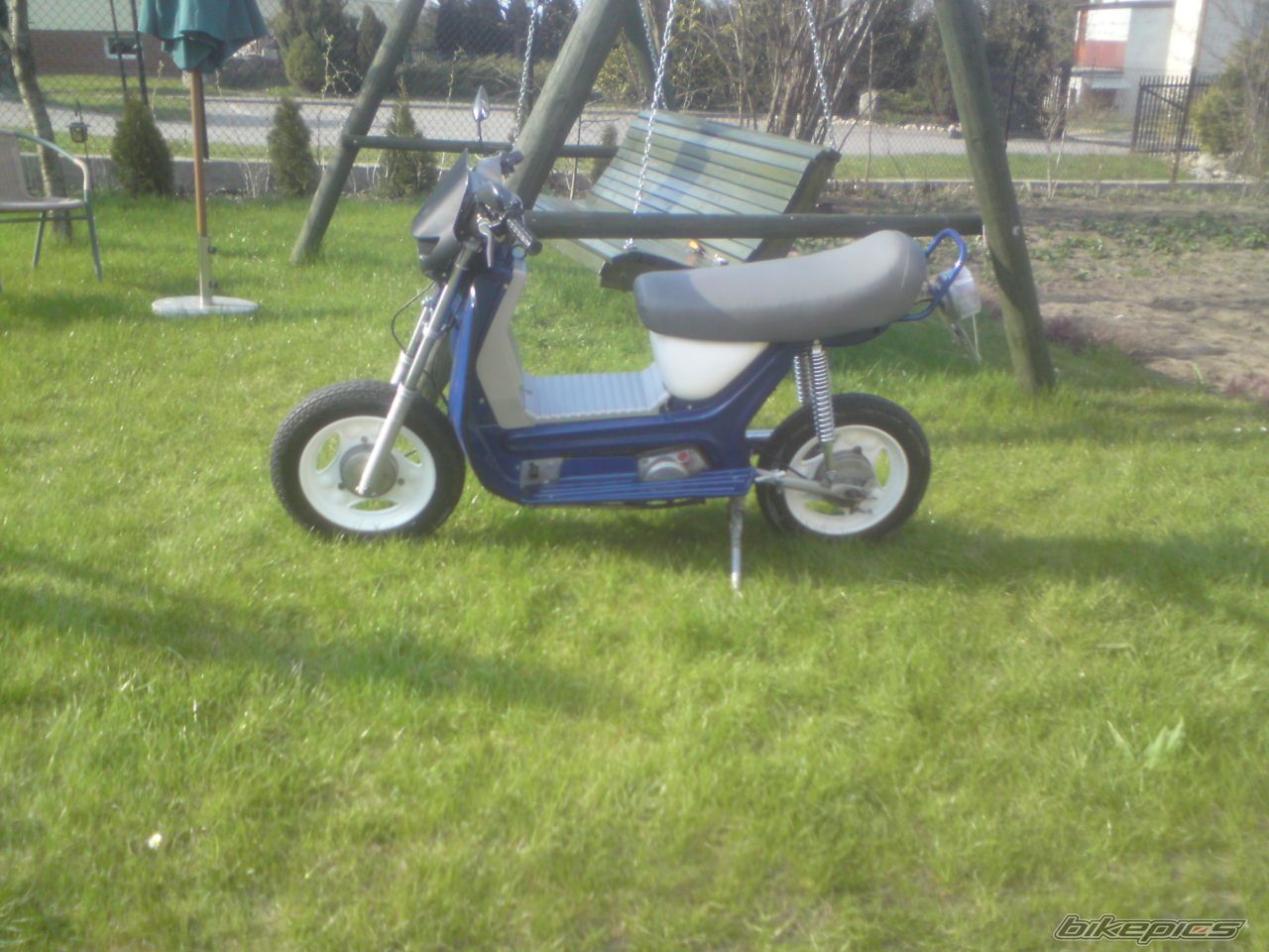 Photo 2390391
