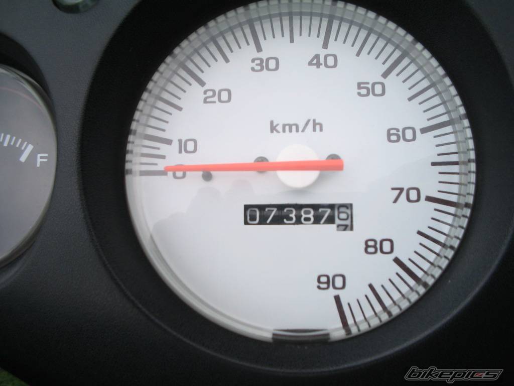 Photo 239045