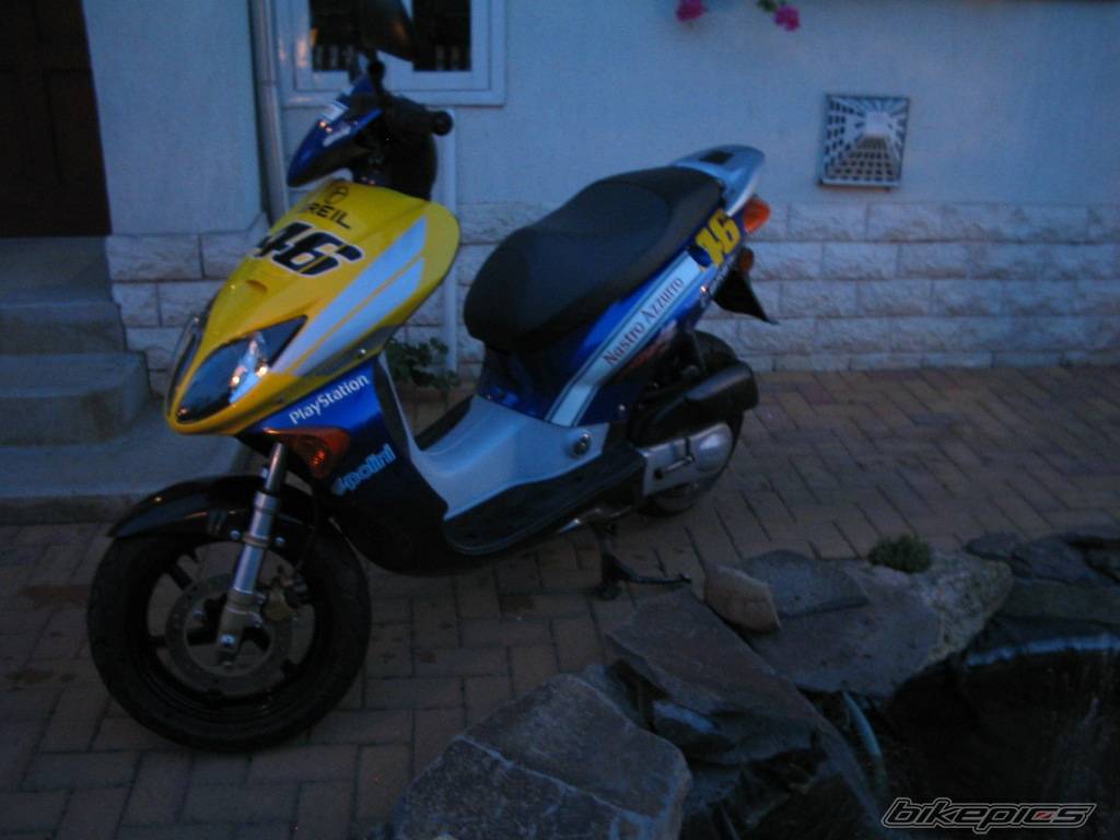 Photo 239047