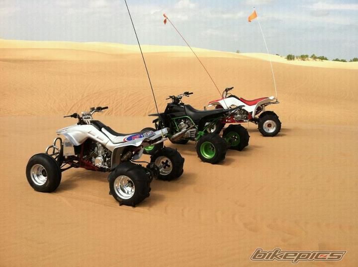 Photo 2390552