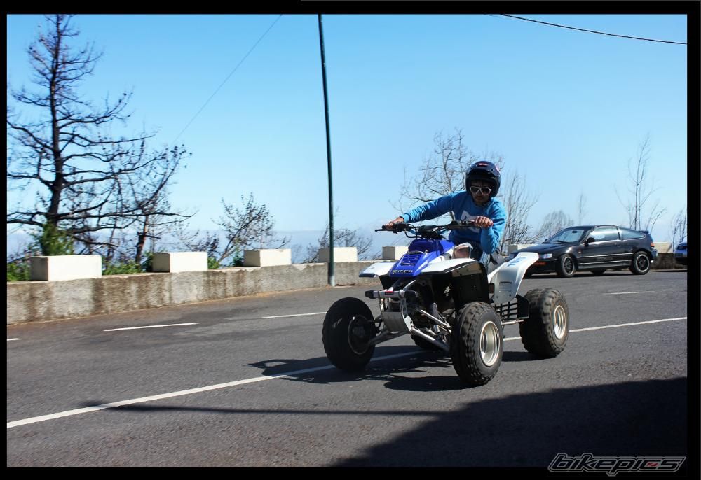 Photo 2390647