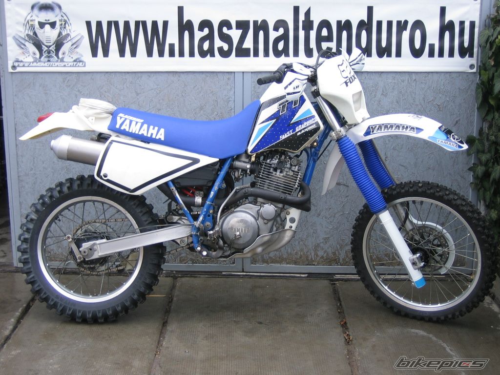 Photo 2390664