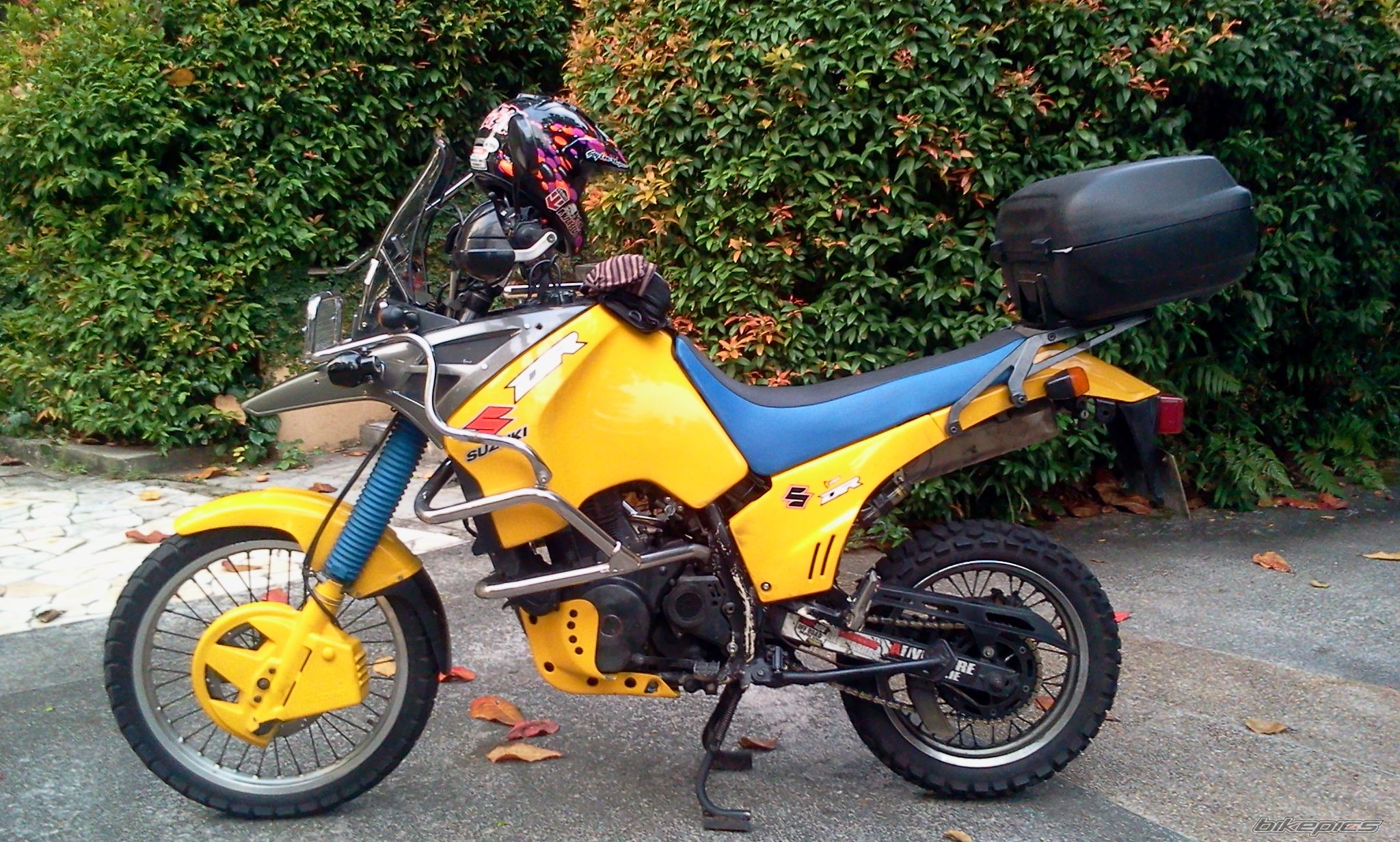 Photo 2390693