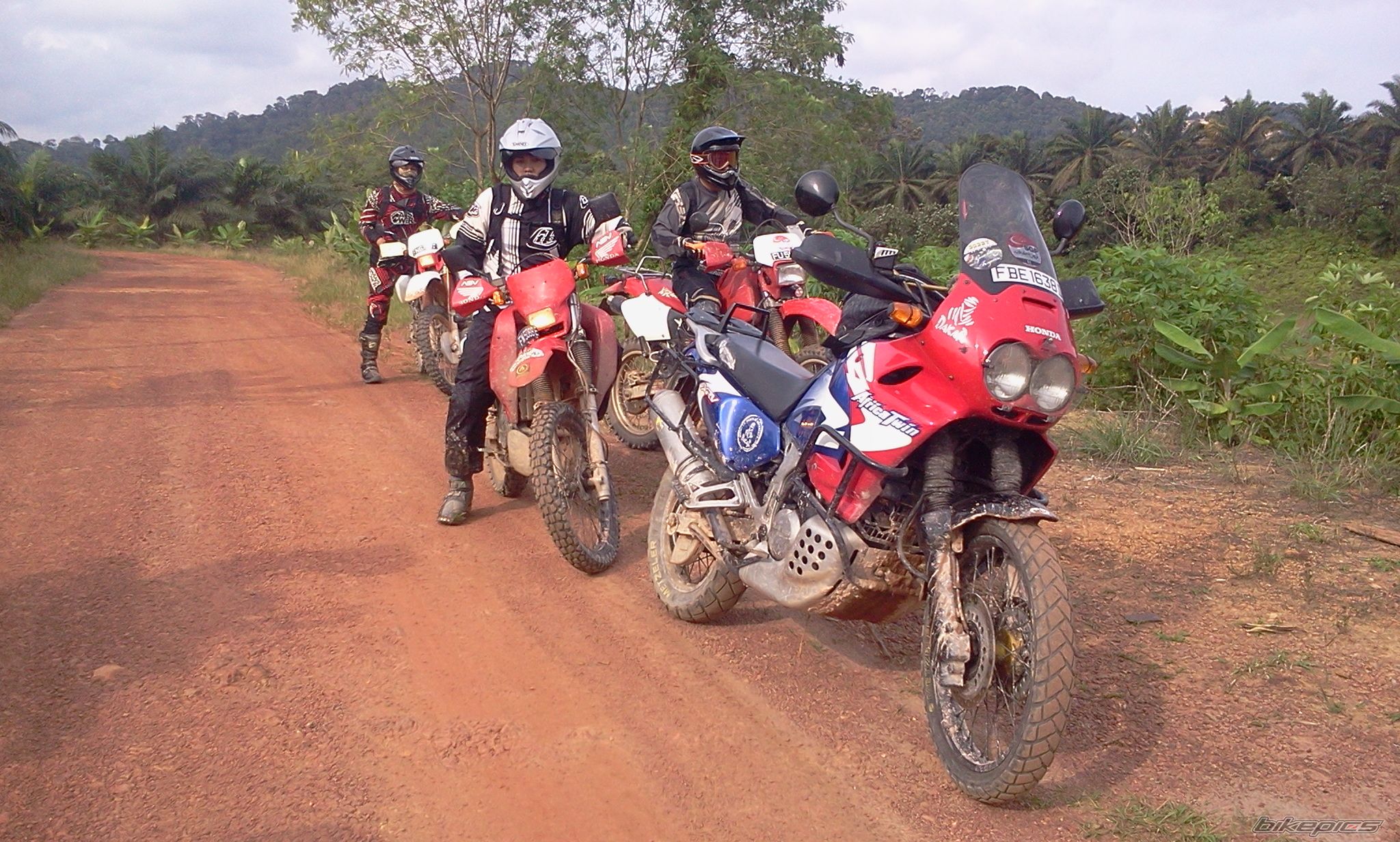 Photo 2390694