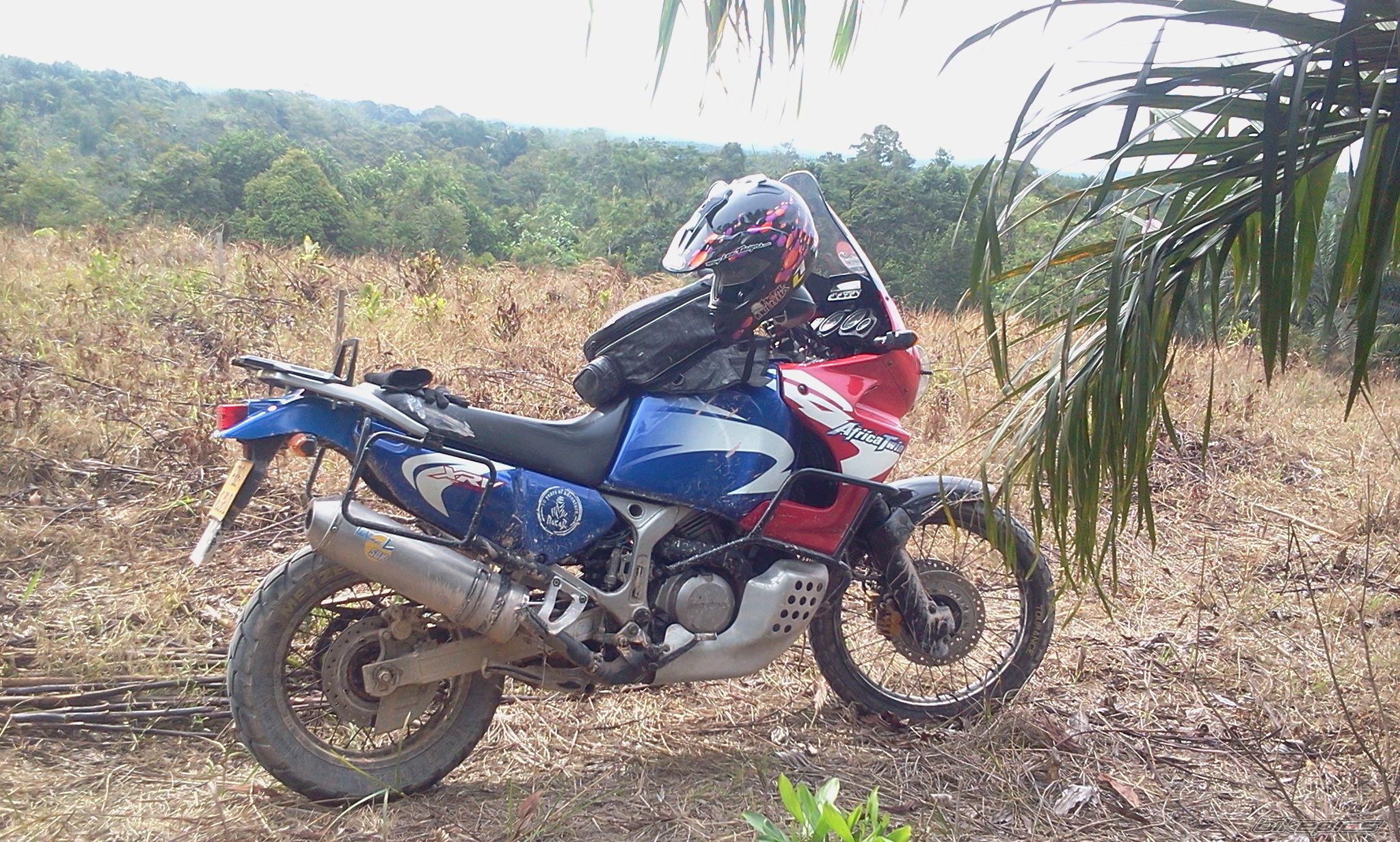 Photo 2390695