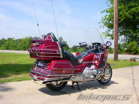 Photo 239073