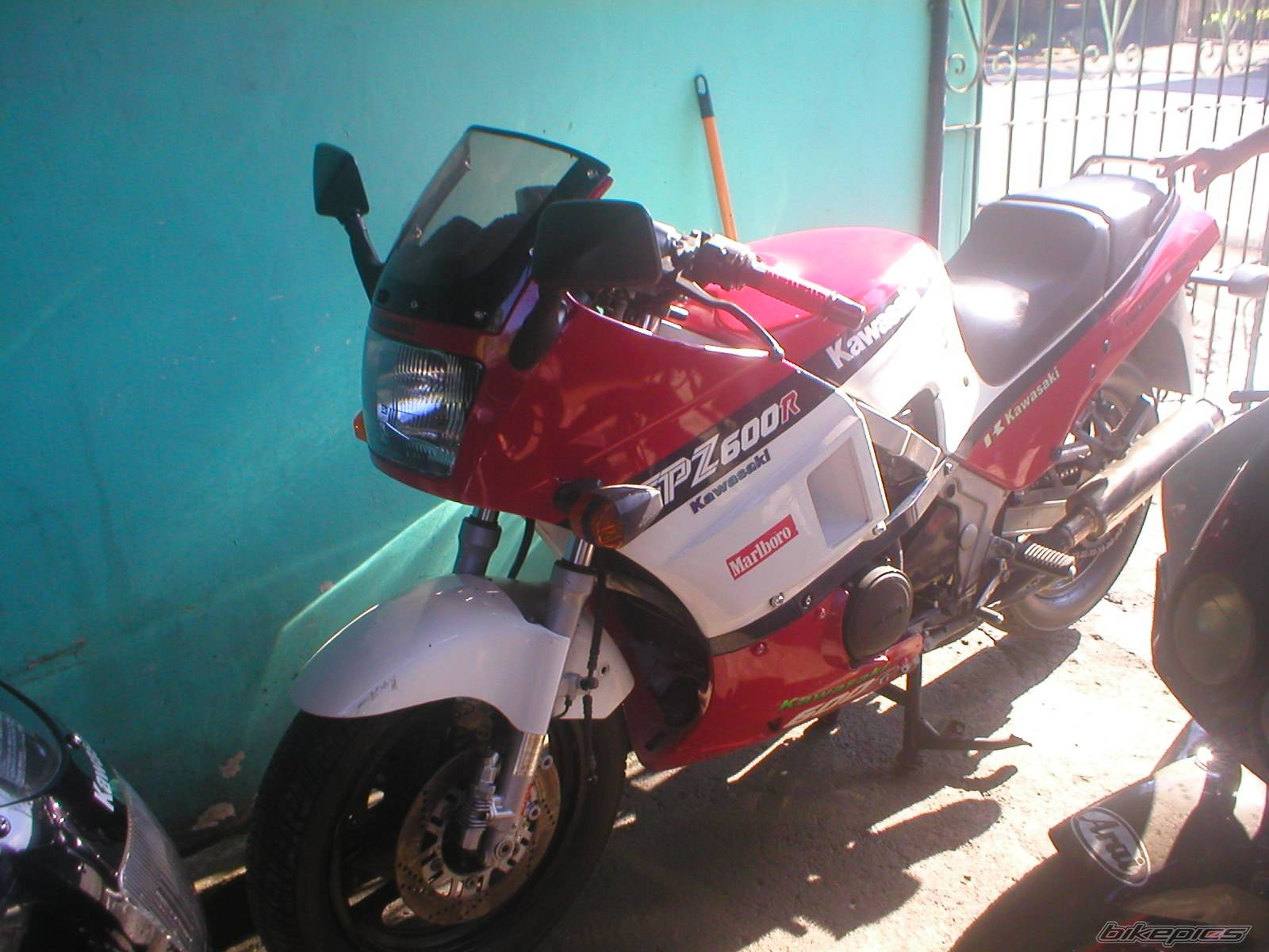 Photo 239079