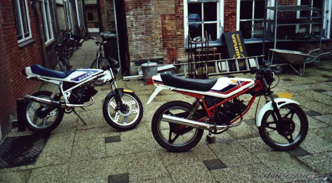 Photo 239098