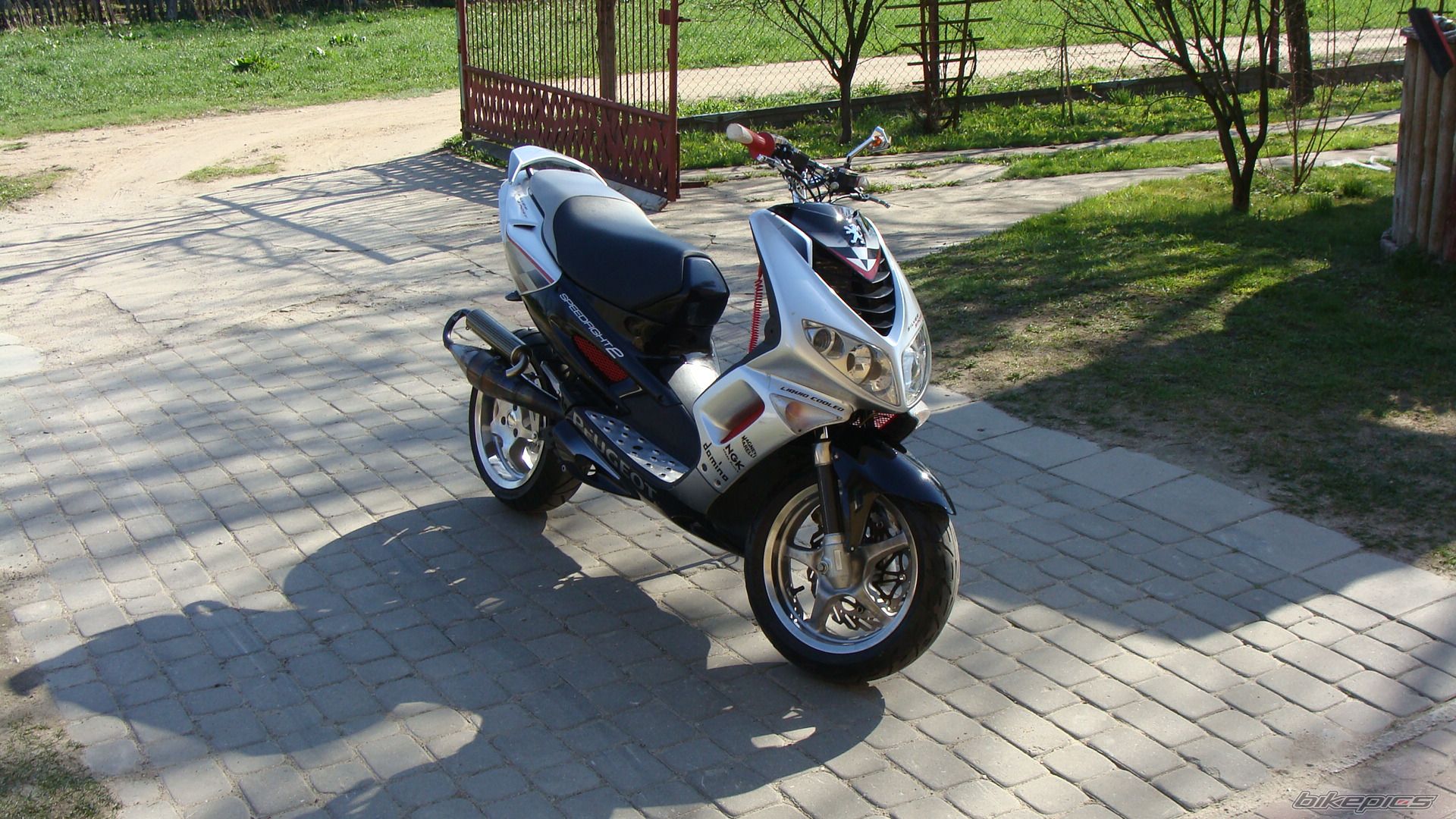 Photo 2390987