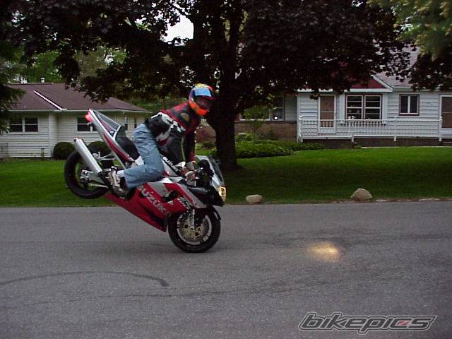Photo 2391