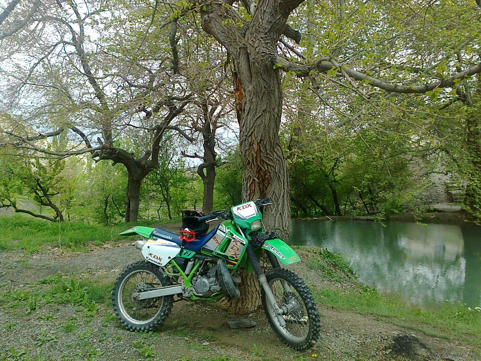 Photo 2391107