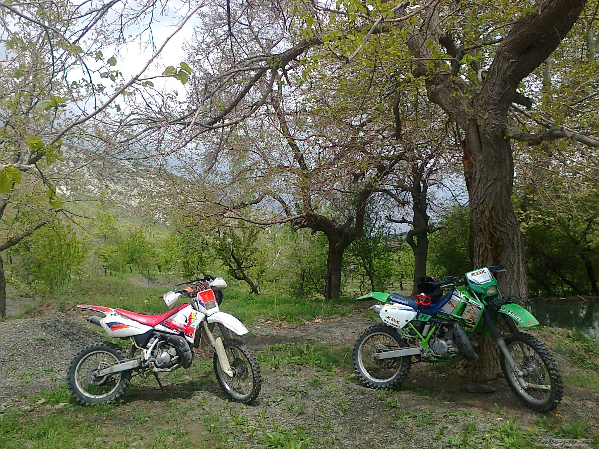Photo 2391108