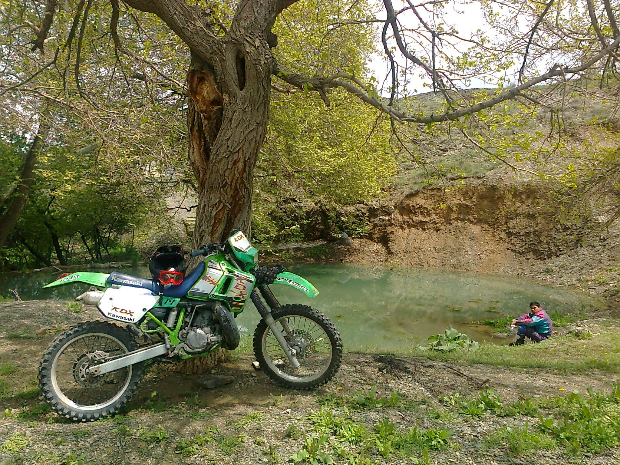 Photo 2391112