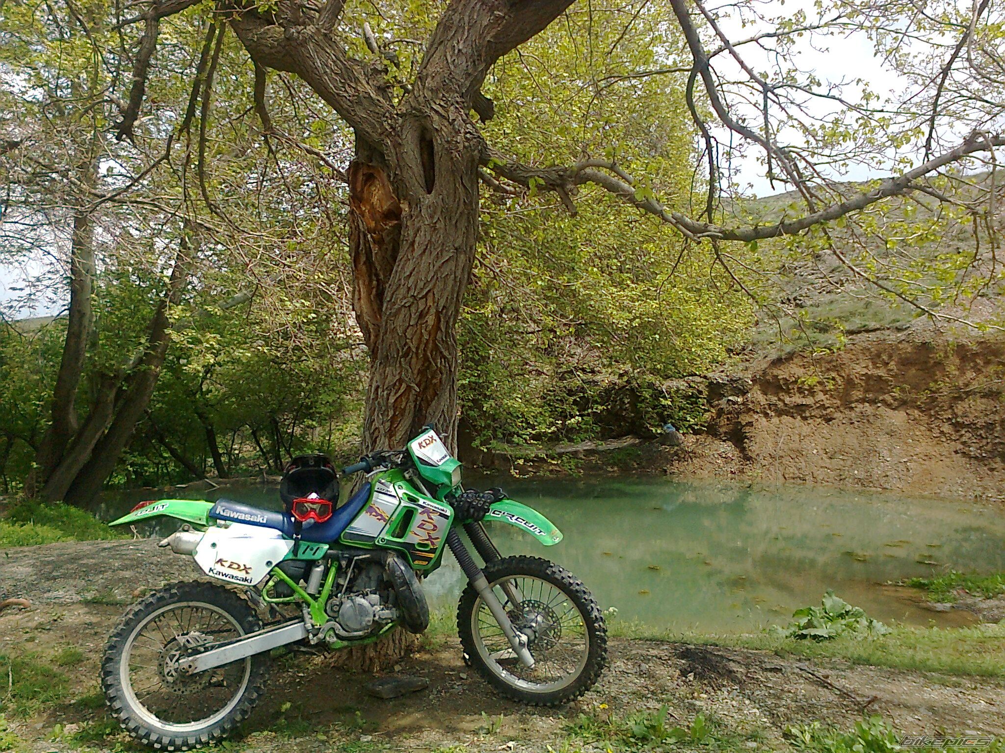 Photo 2391113
