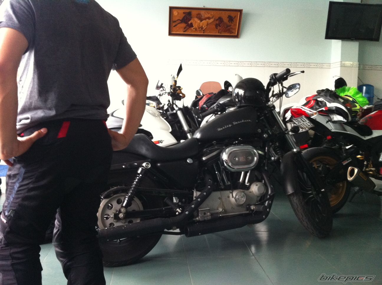 Photo 2391163