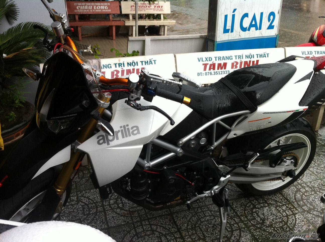Photo 2391166