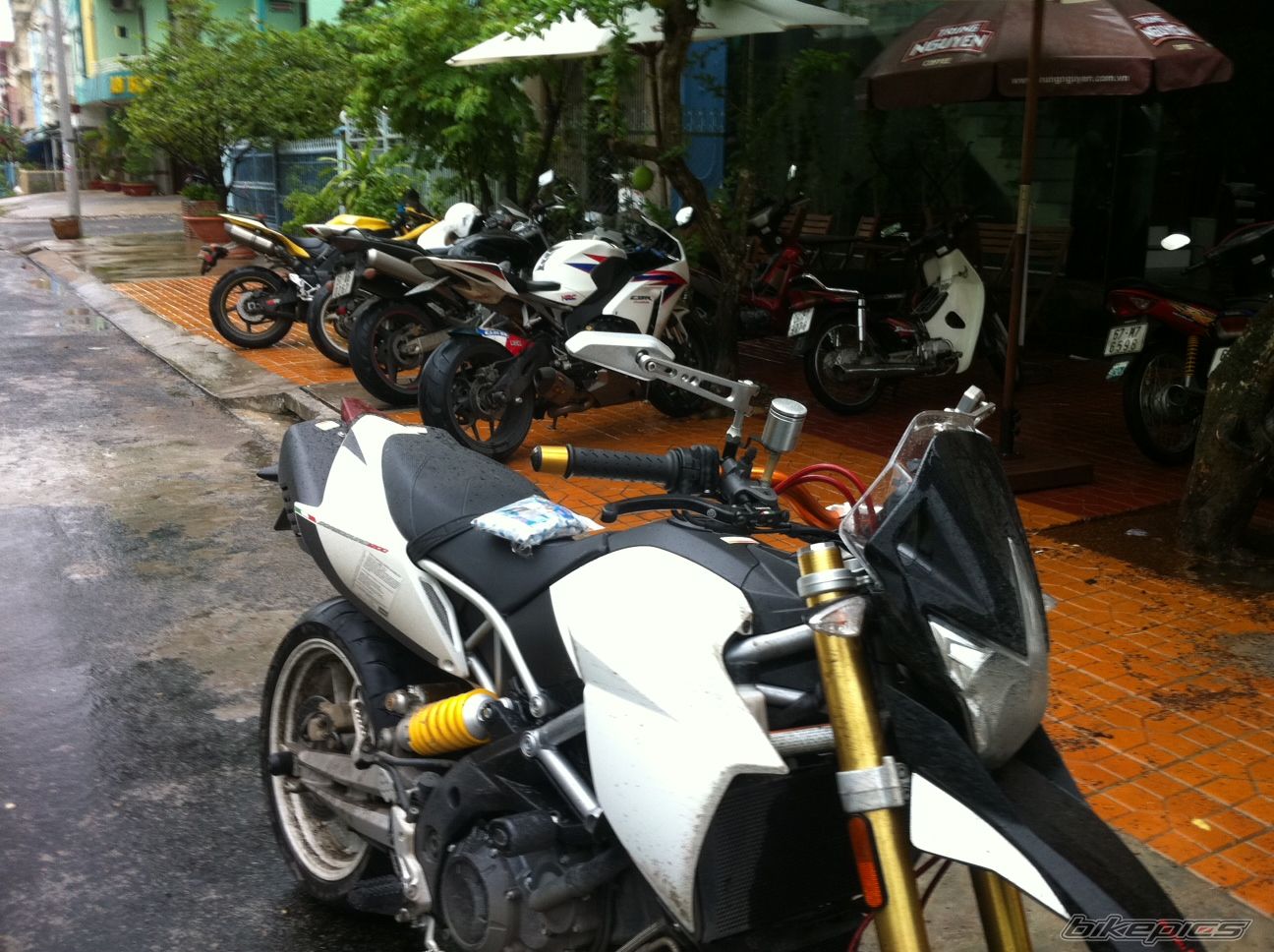 Photo 2391174