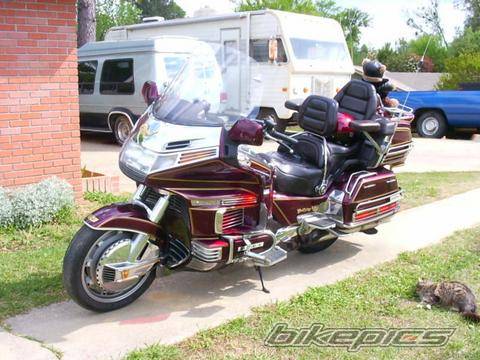 Photo 239124