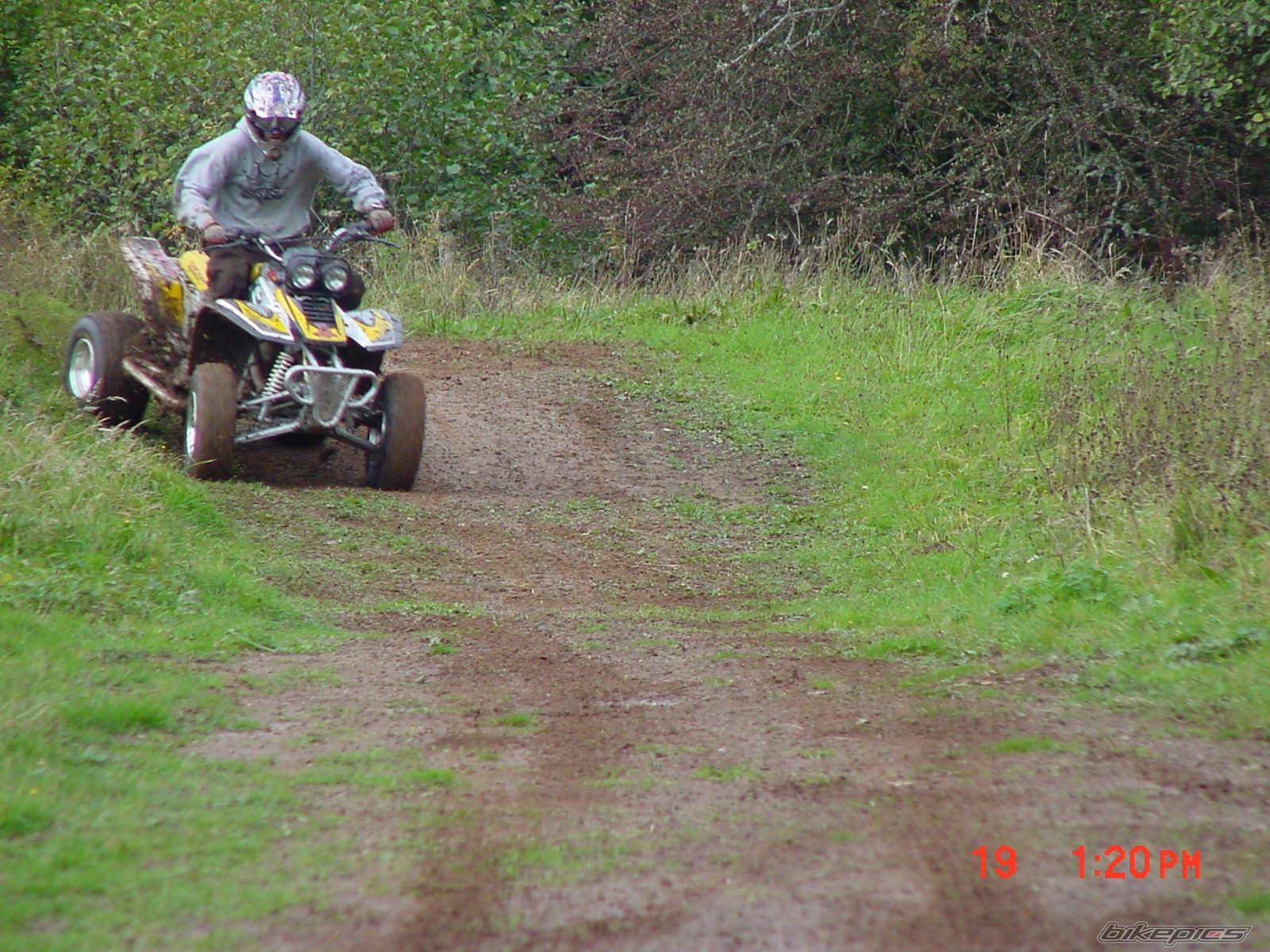 Photo 239151