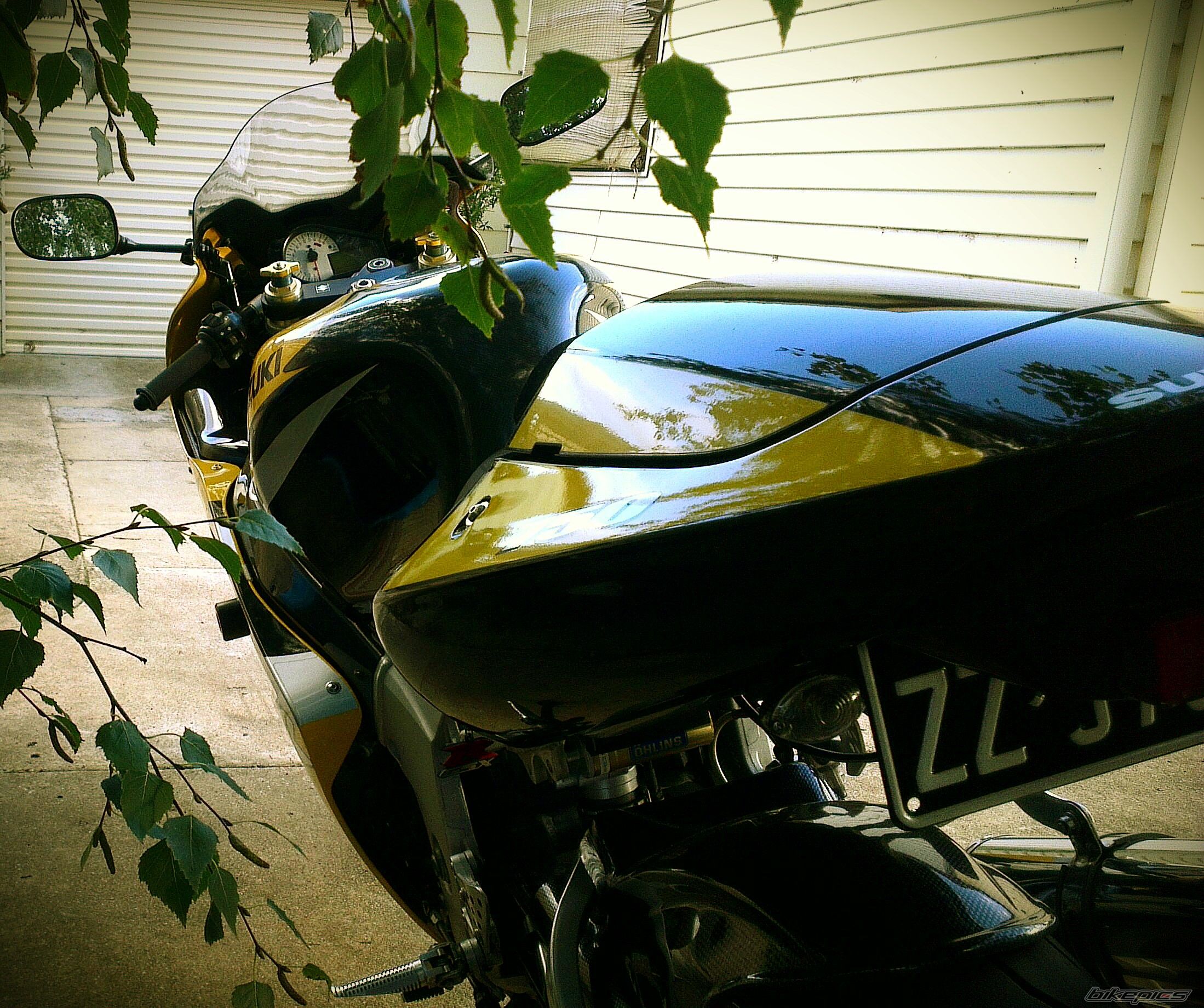 Photo 2391560