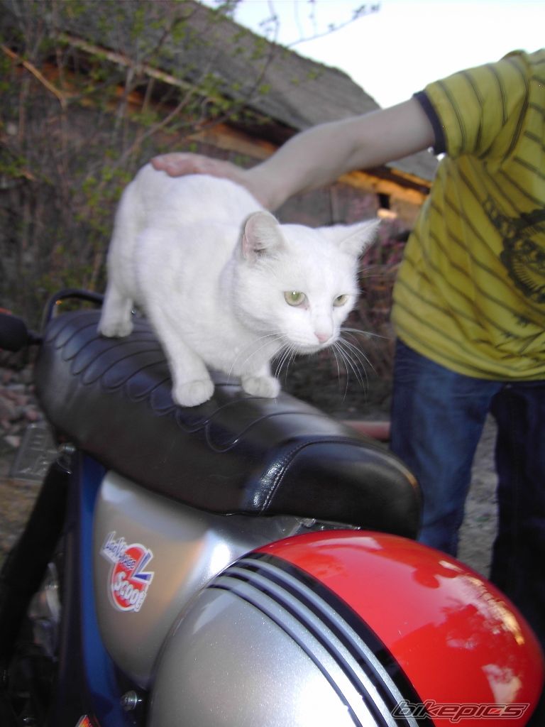 Bike Photo 2391683