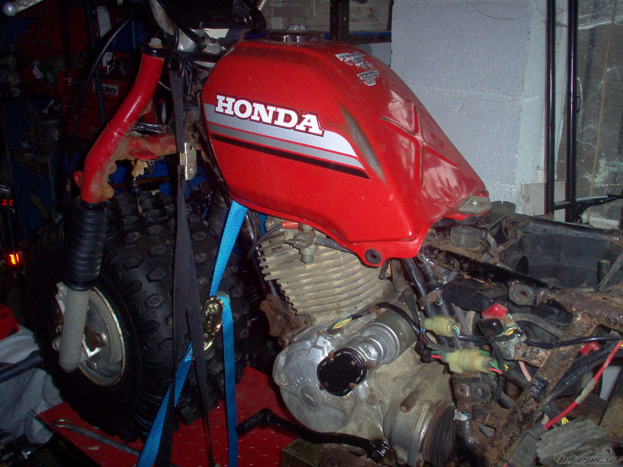 Bike Photo 2391686