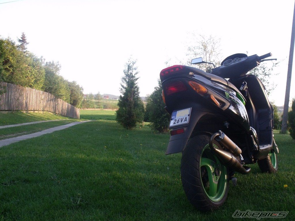 Photo 2391910