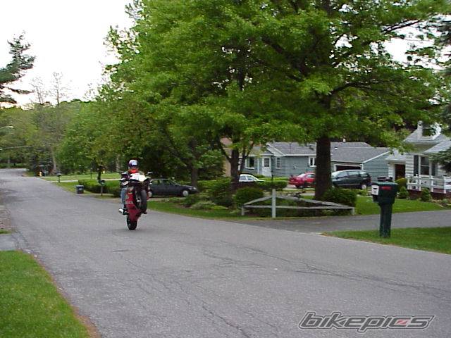 Photo 2392