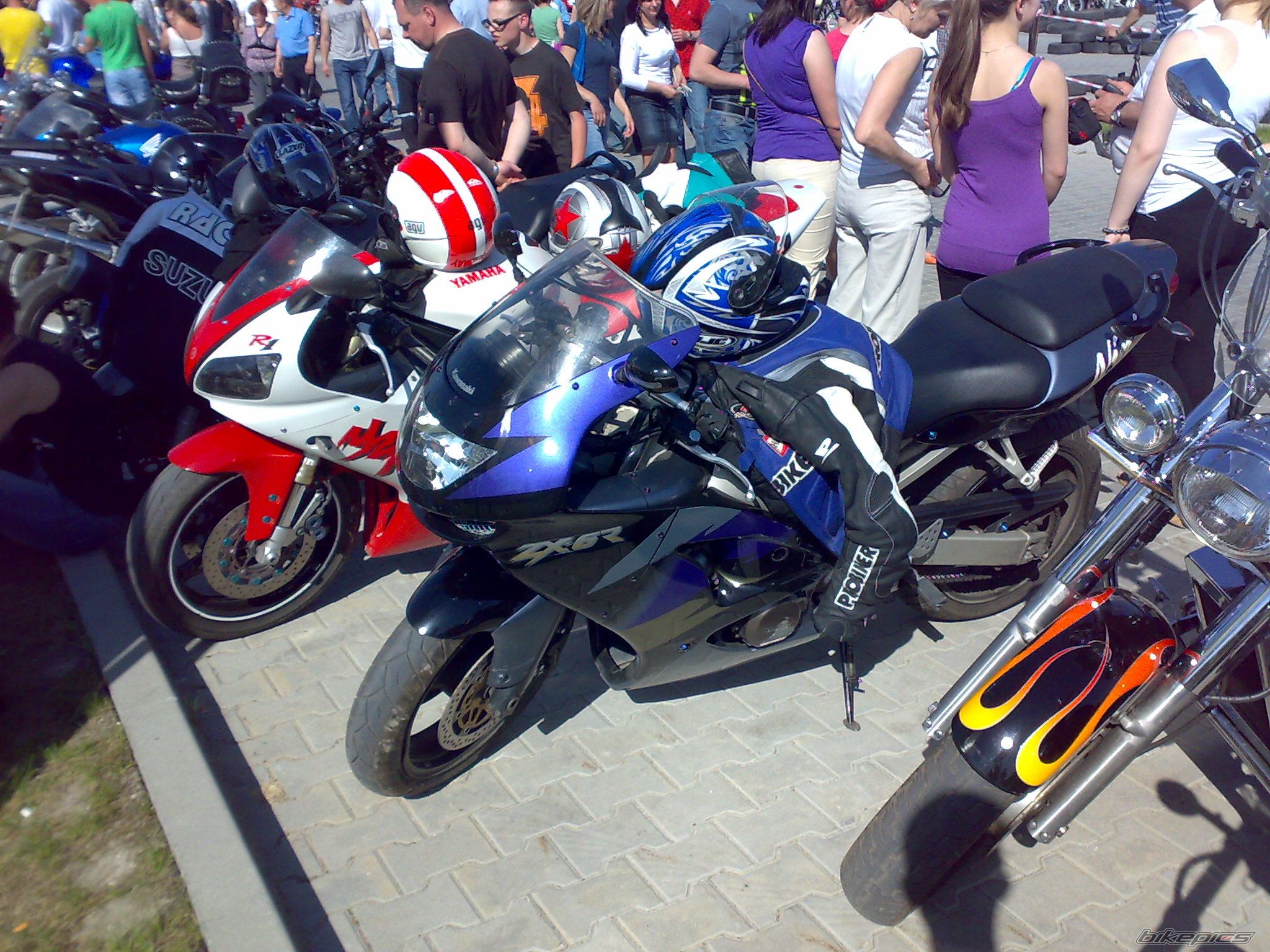 Photo 2392048