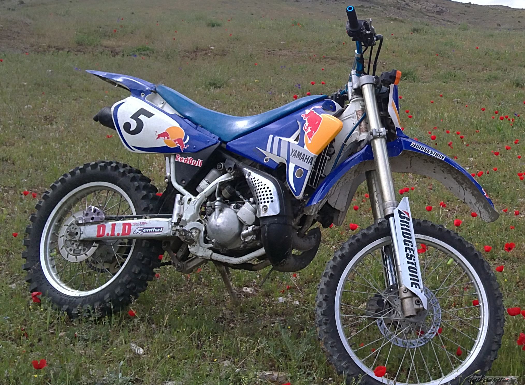 Photo 2392049