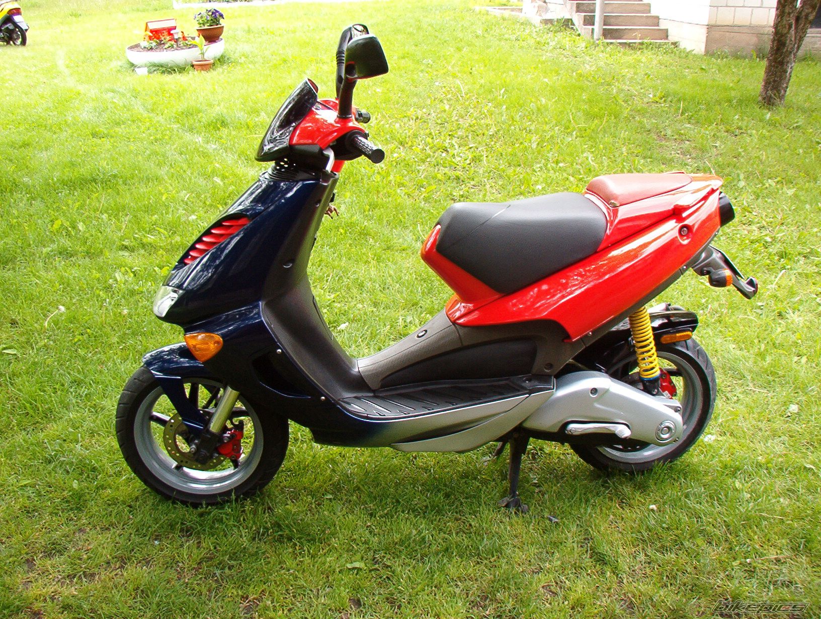 Photo 2392065