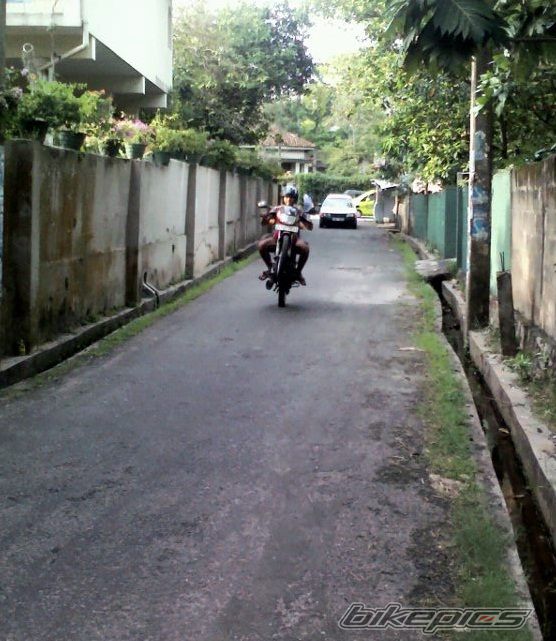 Photo 2392140