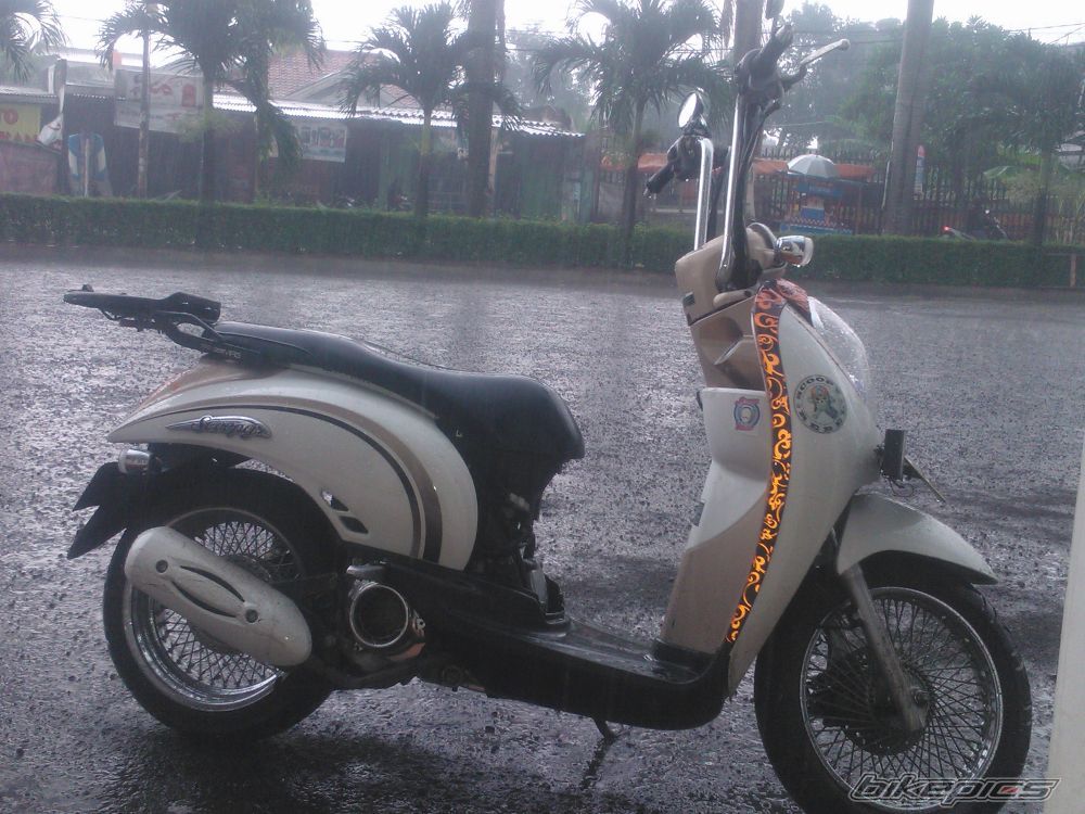 Photo 2392161