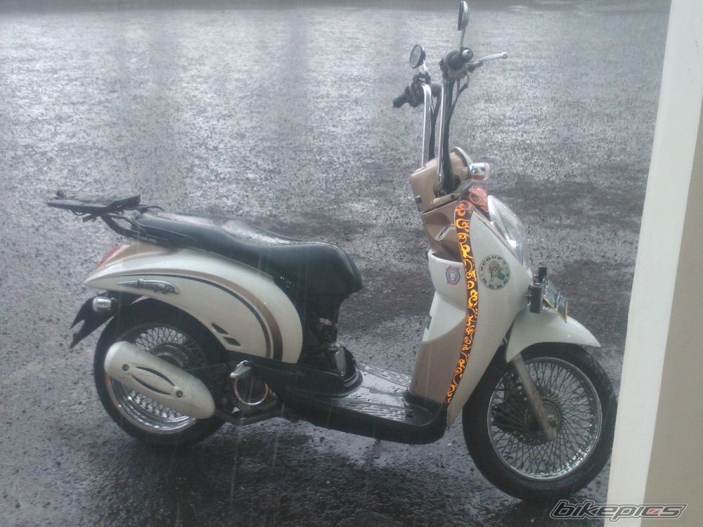Photo 2392162