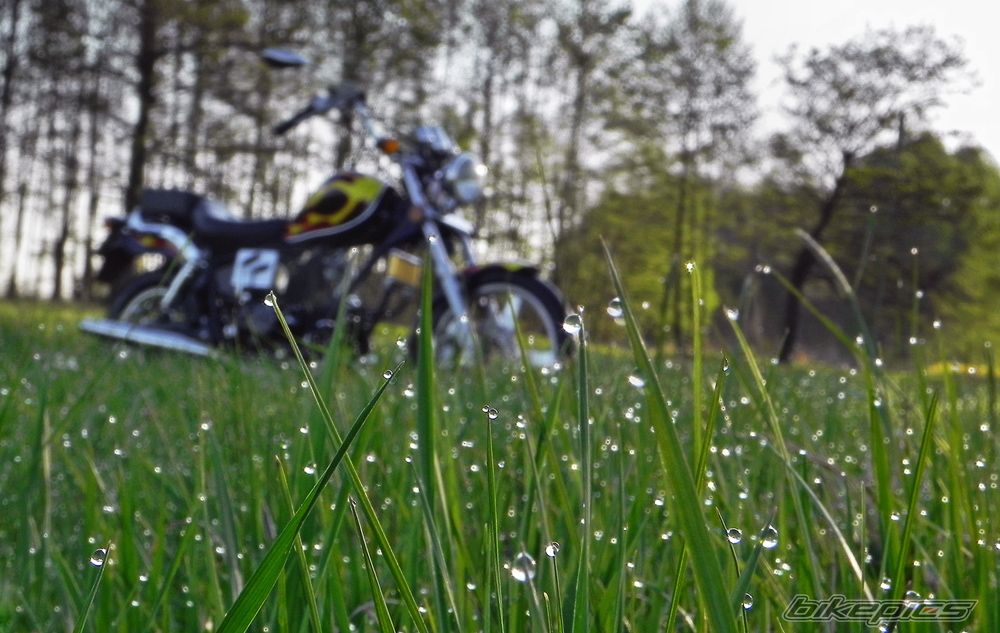 Photo 2392175