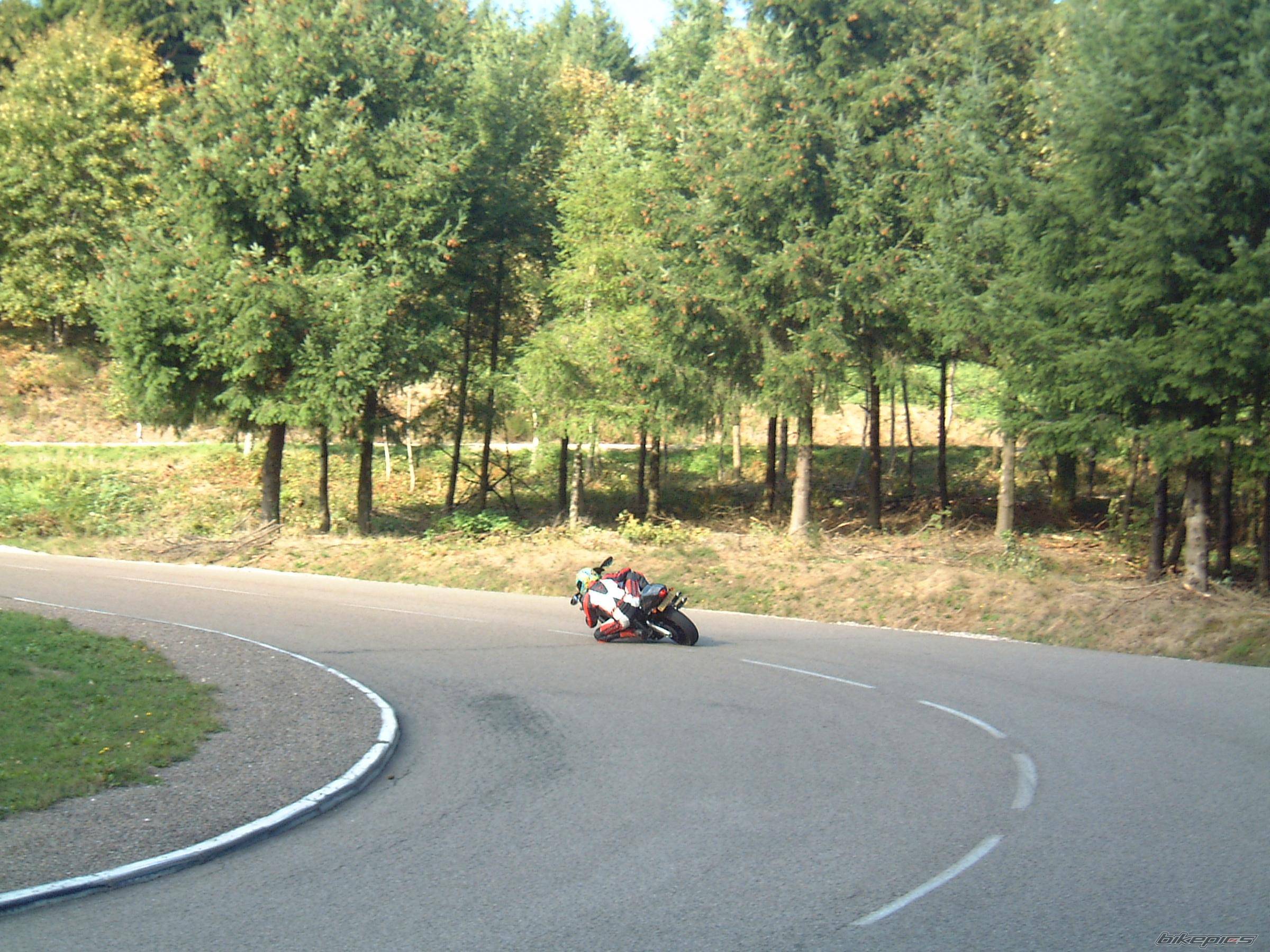 Photo 239225
