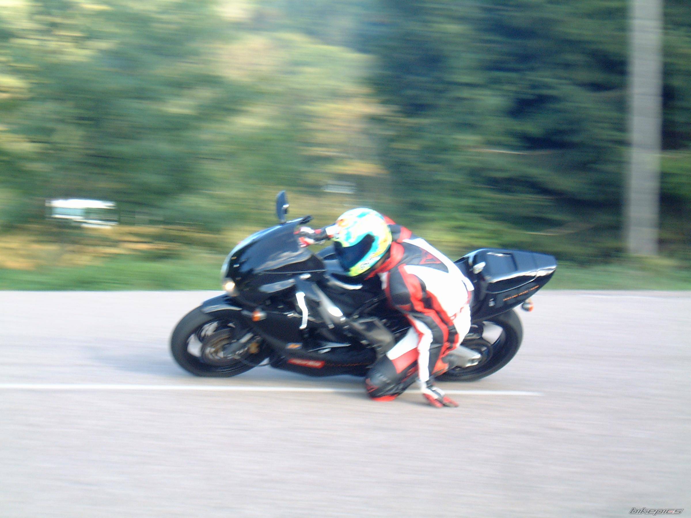 Photo 239226