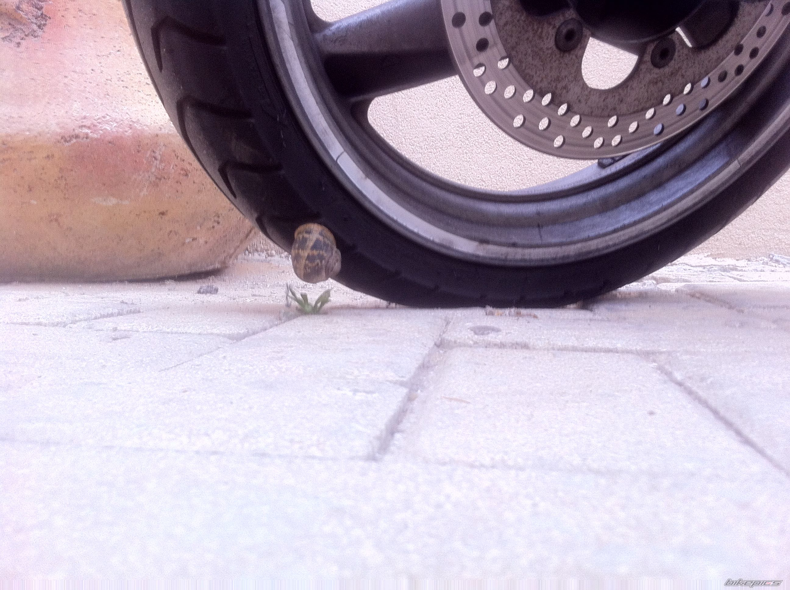 Photo 2392279