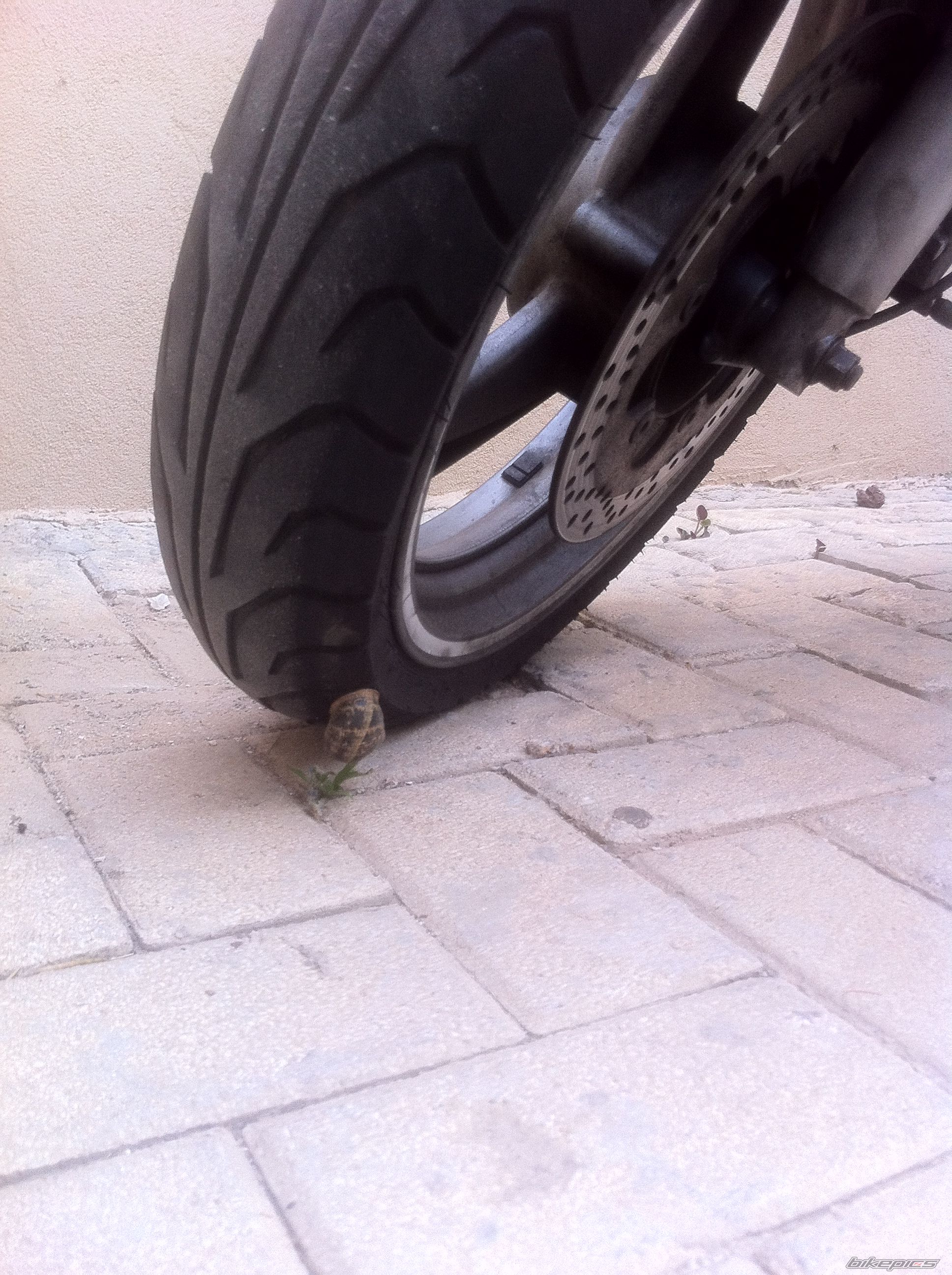 Photo 2392280